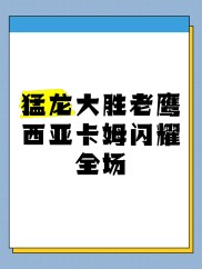 猛龙队在主场击败老鹰，止步连败